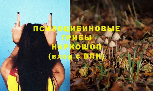 прущий лед Балахна